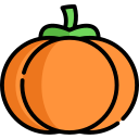 Pumpkin icon