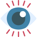 ojo icon