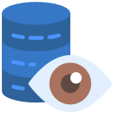 ojo icon