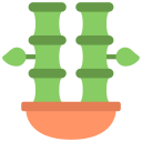 pot 