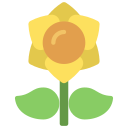 flor 