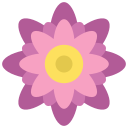flor 