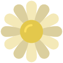 꽃 