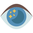 ojo icon