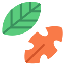 naturaleza icon