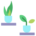 naturaleza icon