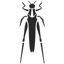 saltamontes icon