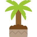 ººººººººººººººººººººººººººººººººººº 