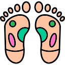 Leg 