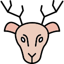 animal icon