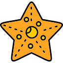ººººººººººººººººººººººººººººººººººº 