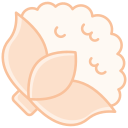 coliflor icon