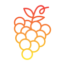 uvas icon