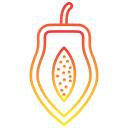 papaya icon