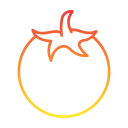 tomate icon