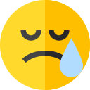 Llorar icon