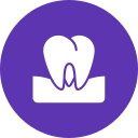 molar icon