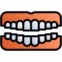 dentadura icon