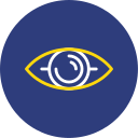 ojo icon