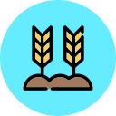 trigo icon