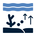 acidificación oceánica 