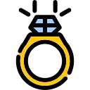 anillo icon