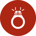 anillo icon