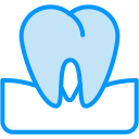 molar icon