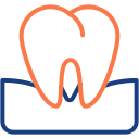 molar icon