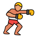 boxeo icon