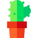 Cactus icon