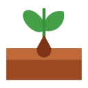 cultivar planta icon