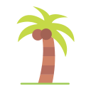 Árbol de coco icon