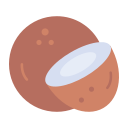 coco icon