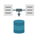 recopilación de datos icon