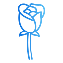 rosa icon