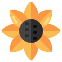 girasol icon