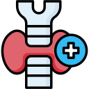 endocrinología icon