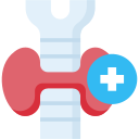 endocrinología icon