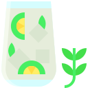 mojito icon