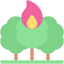 Forest fire 