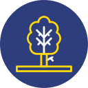 Árbol icon