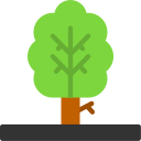 Árbol icon