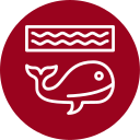 ballena icon