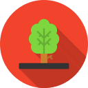 Árbol icon