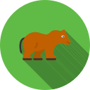 oso icon