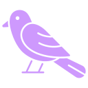 pájaro icon