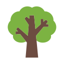 Árbol icon