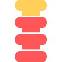 columna vertebral icon