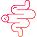 intestino icon